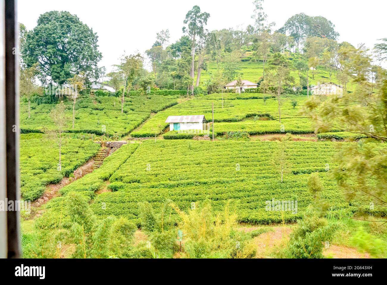 Piccolo villaggio che ospita lavoratori piantagioni di tè nel distretto di nuwara eliya, provincia centrale, sri Lanka, asia meridionale Foto Stock