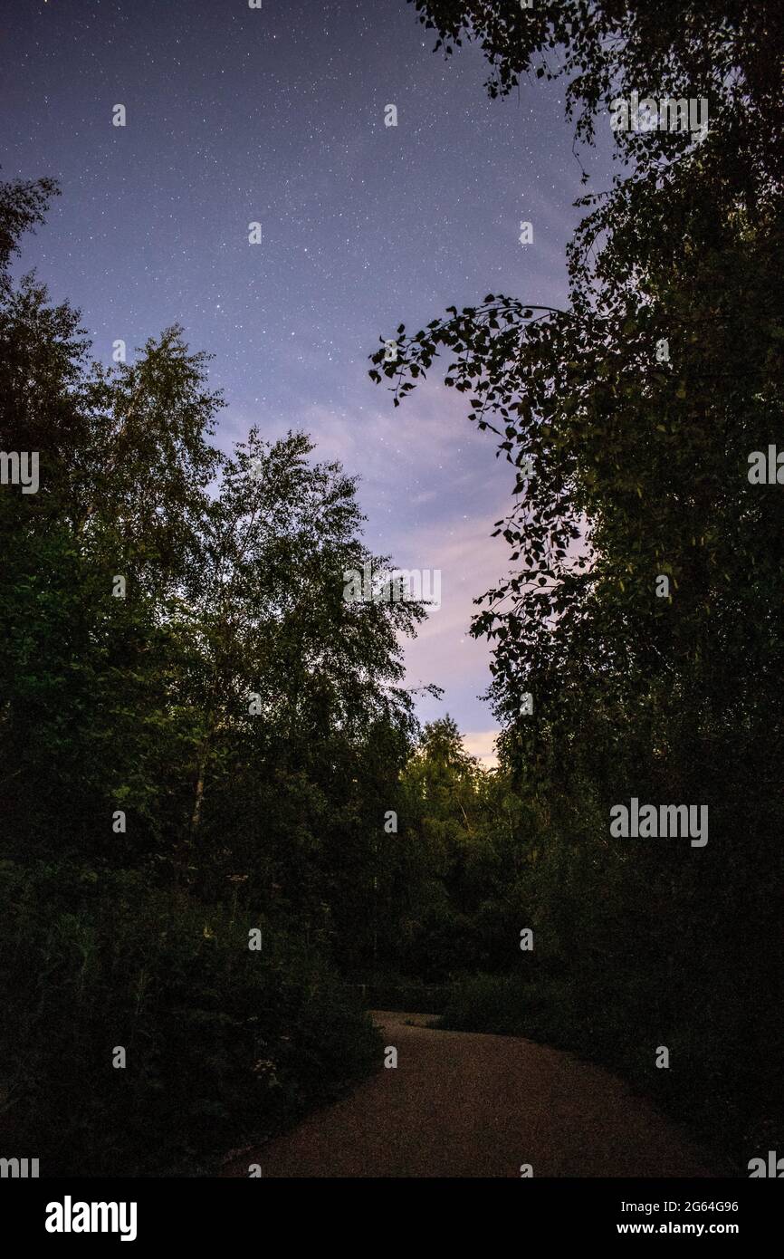 Stelle nel cielo notturno in una chiara serata estiva. Foto Stock