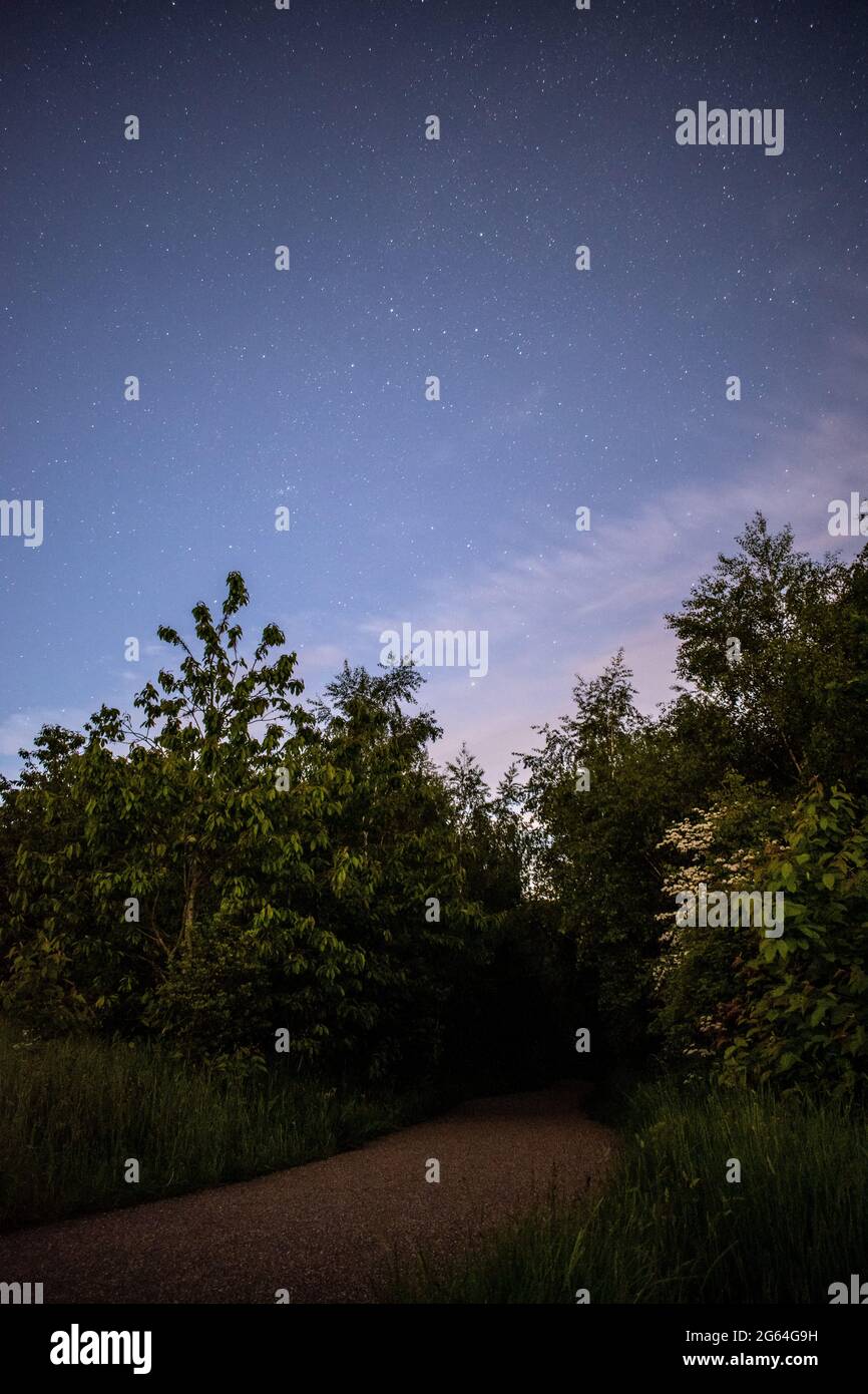 Stelle nel cielo notturno in una chiara serata estiva. Foto Stock