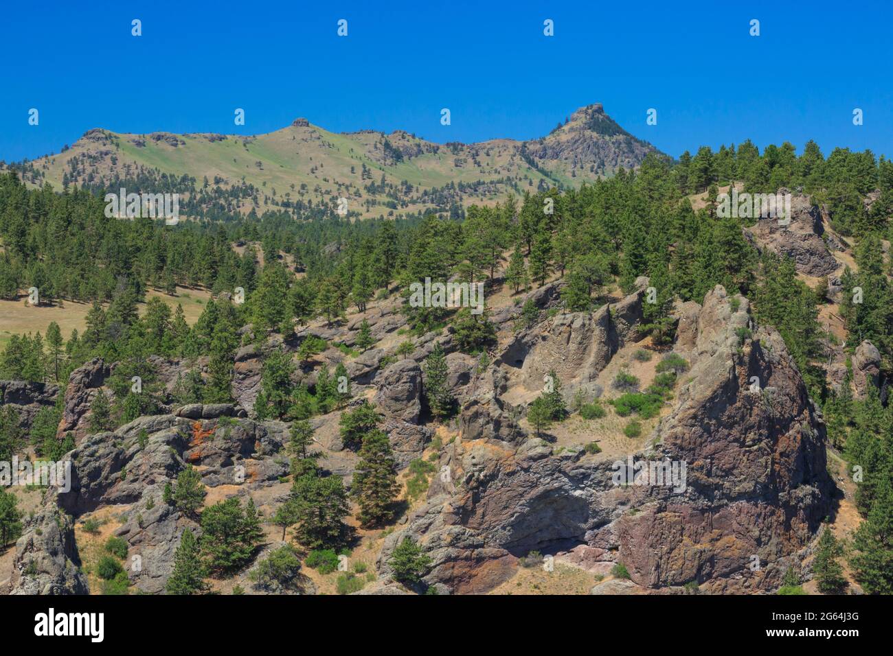 coburn montagna vicino a craig, montana Foto Stock