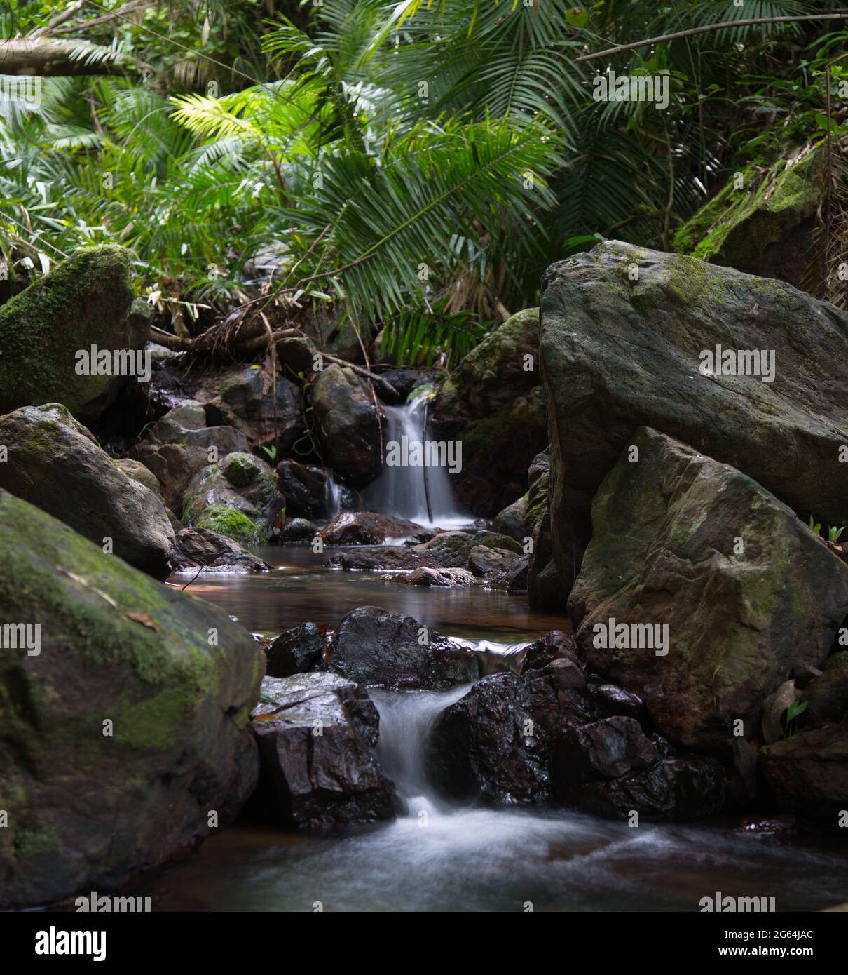 Tempo di marcia lento di piccolo fiume e acqua che cade Port Douglas, Daintree Rain Forest, Australia Foto Stock