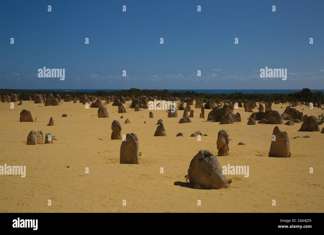 Pinnacles Desert paesaggio ritratto di rocce calcaree naturali Nambung National Park, Australia occidentale. Foto Stock