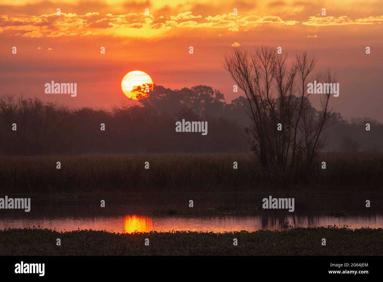 Tramonto con il cielo arancione – Sole vicino all'orizzonte al tramonto a San Vicente, Buenos Aires, Argentina Foto Stock