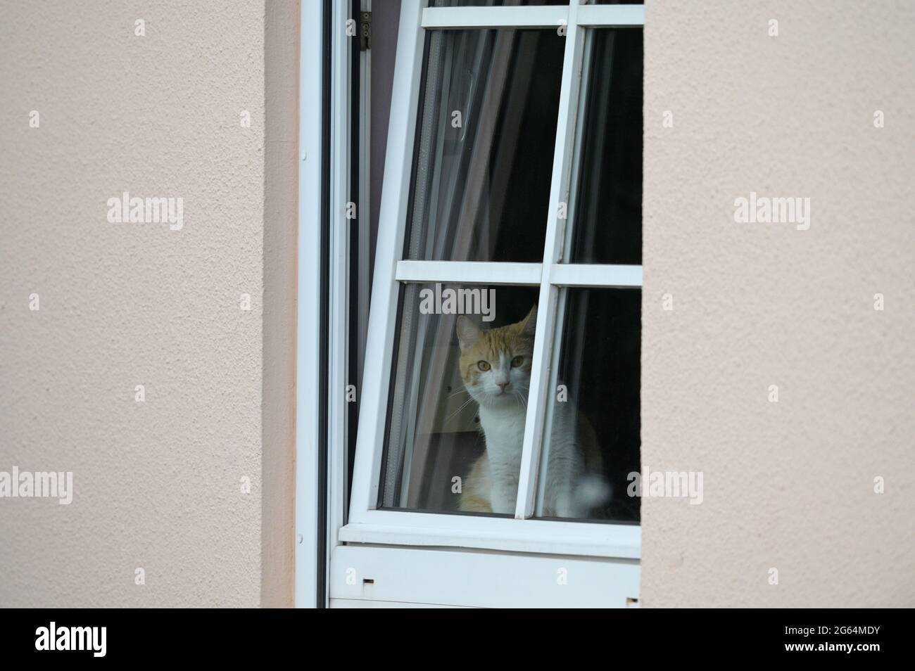 Guardando dietro la finestra; Beobachter hinter dem Fenster Foto Stock