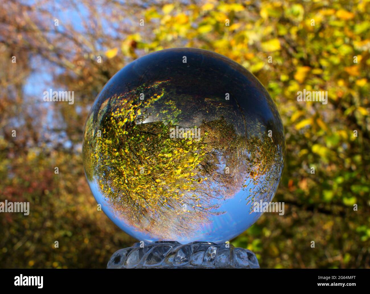 Un'immagine di alberi in un legno contro il cielo blu attraverso UN Lensball Foto Stock
