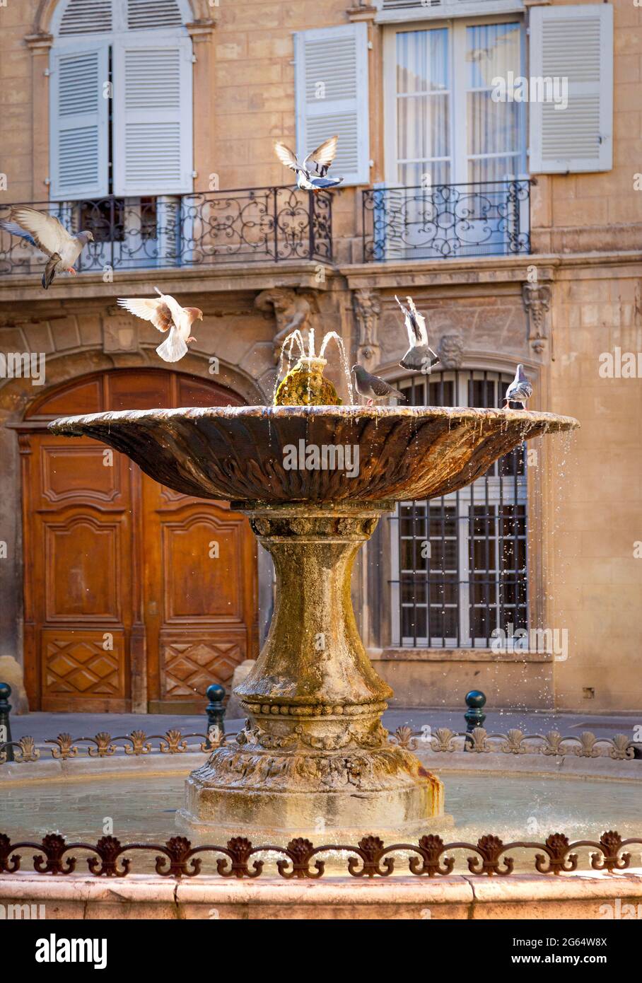 I piccioni giocano nella Fontana di Place d' Albertas, Aix en-Provence, Francia Foto Stock
