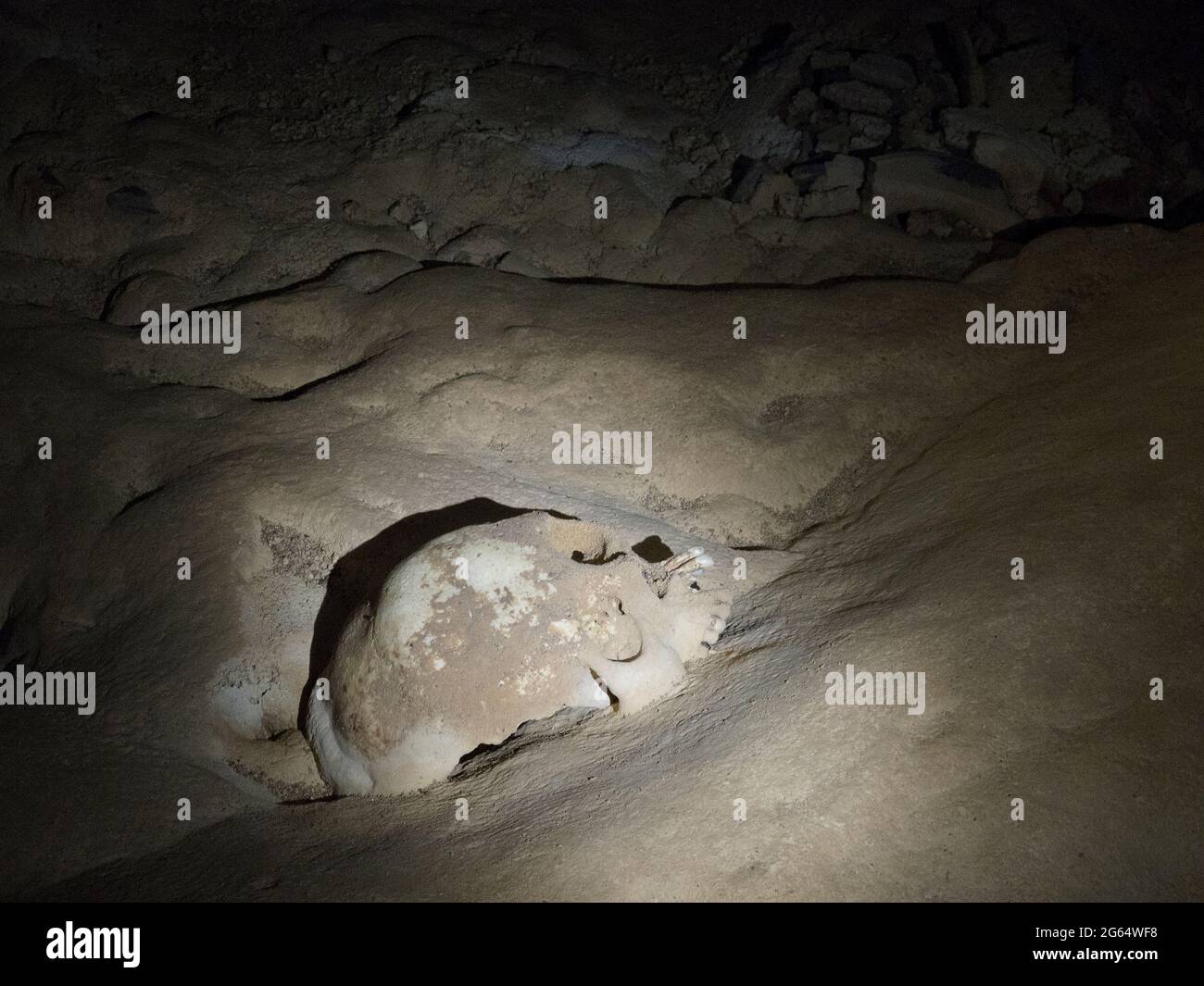 Un cranio stabilisce all'interno Actun Tunichil Muknal. Foto Stock