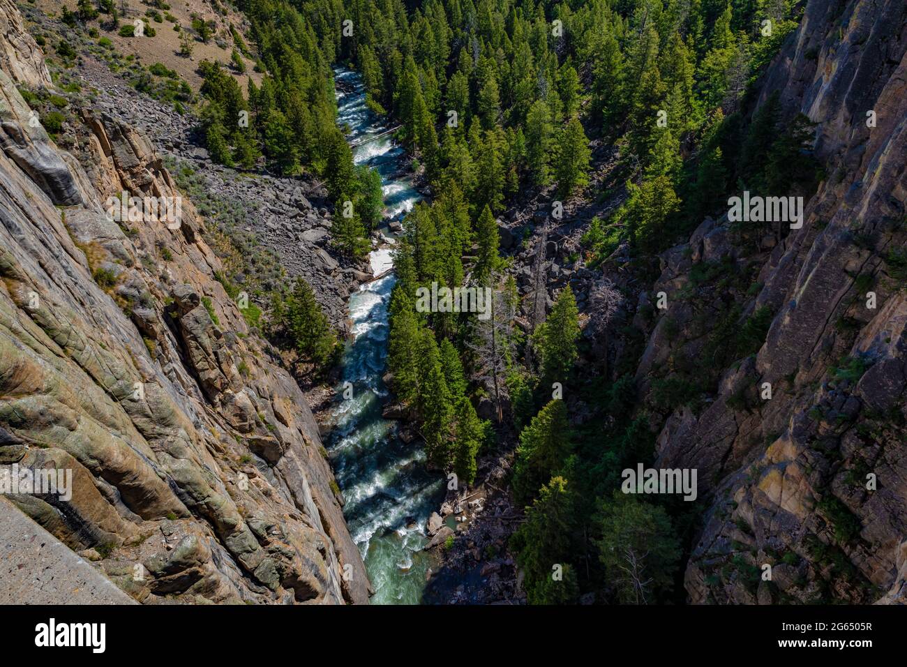 L'abisso di Sunlight Creek lungo Chief Josepth Scenic Byway, Shoshone National Forest, Wyoming, USA Foto Stock