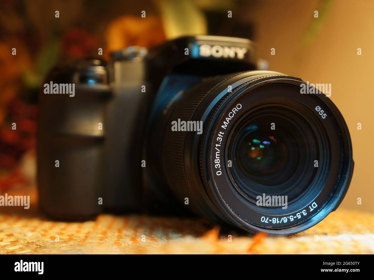 Primo piano dell'obiettivo su una fotocamera reflex digitale con sfondo a messa a fuoco morbida. Foto Stock