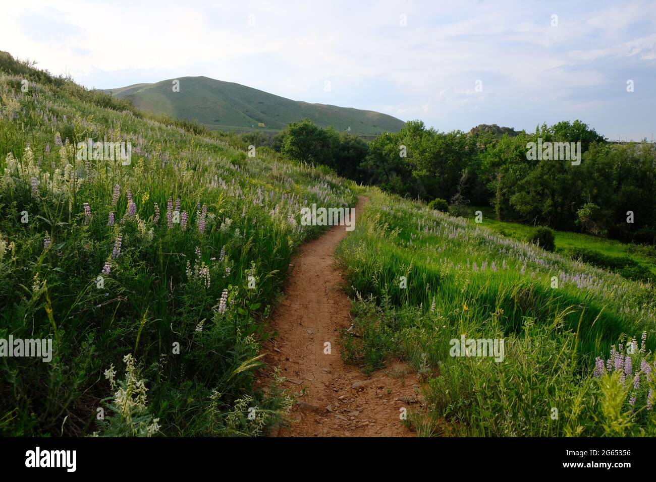 Matthews Winters Park in Golden Colorado Foto Stock