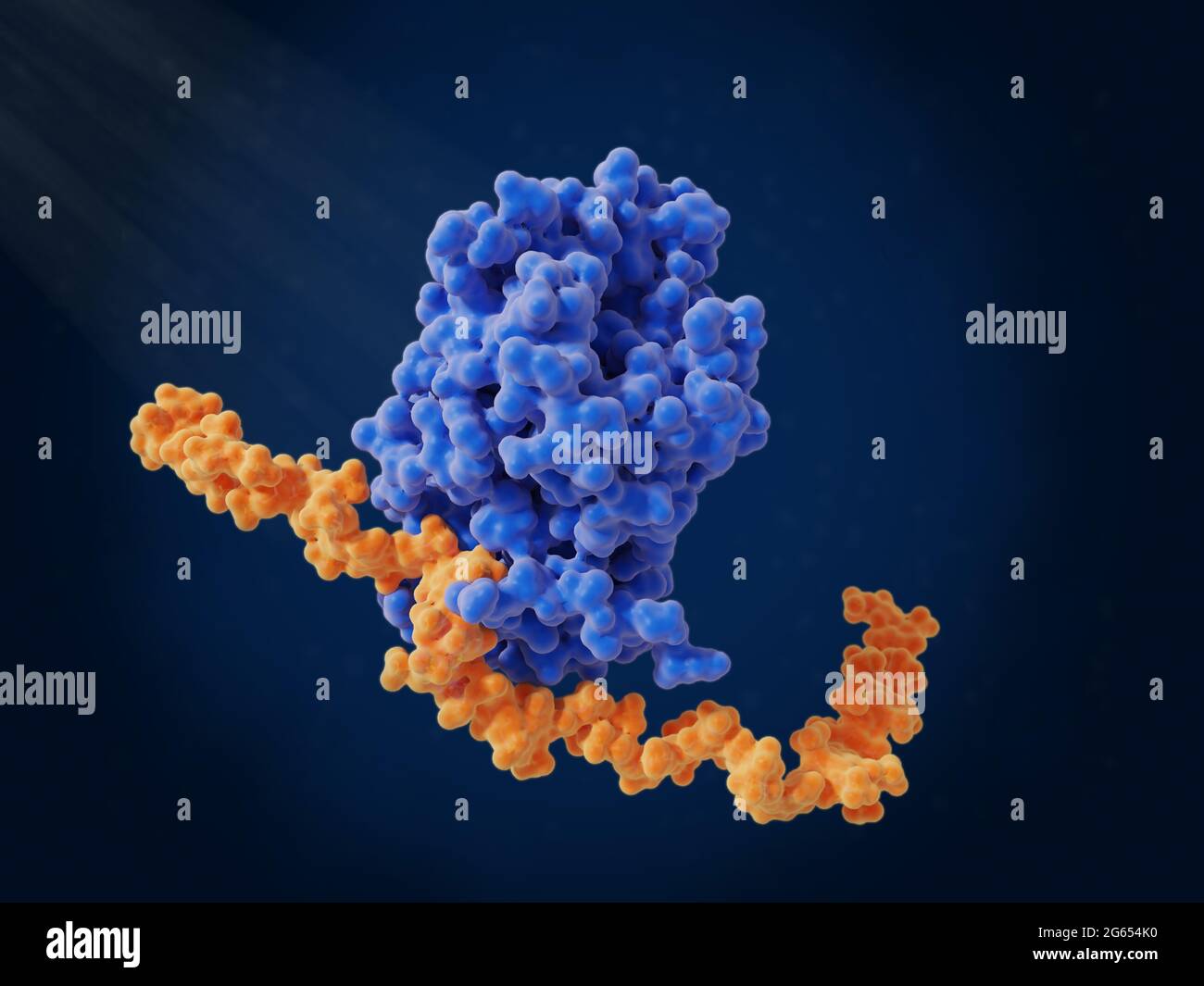 Eparina legata all'antitrombina, modello molecolare Foto Stock