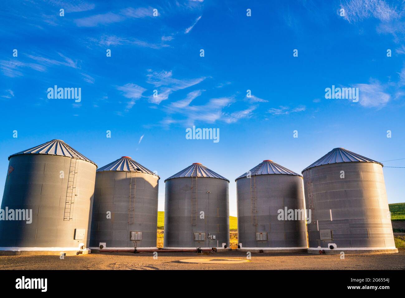 Vista dei silos di grano visti dalla fattoria nello stato di Palouse Washington Foto Stock