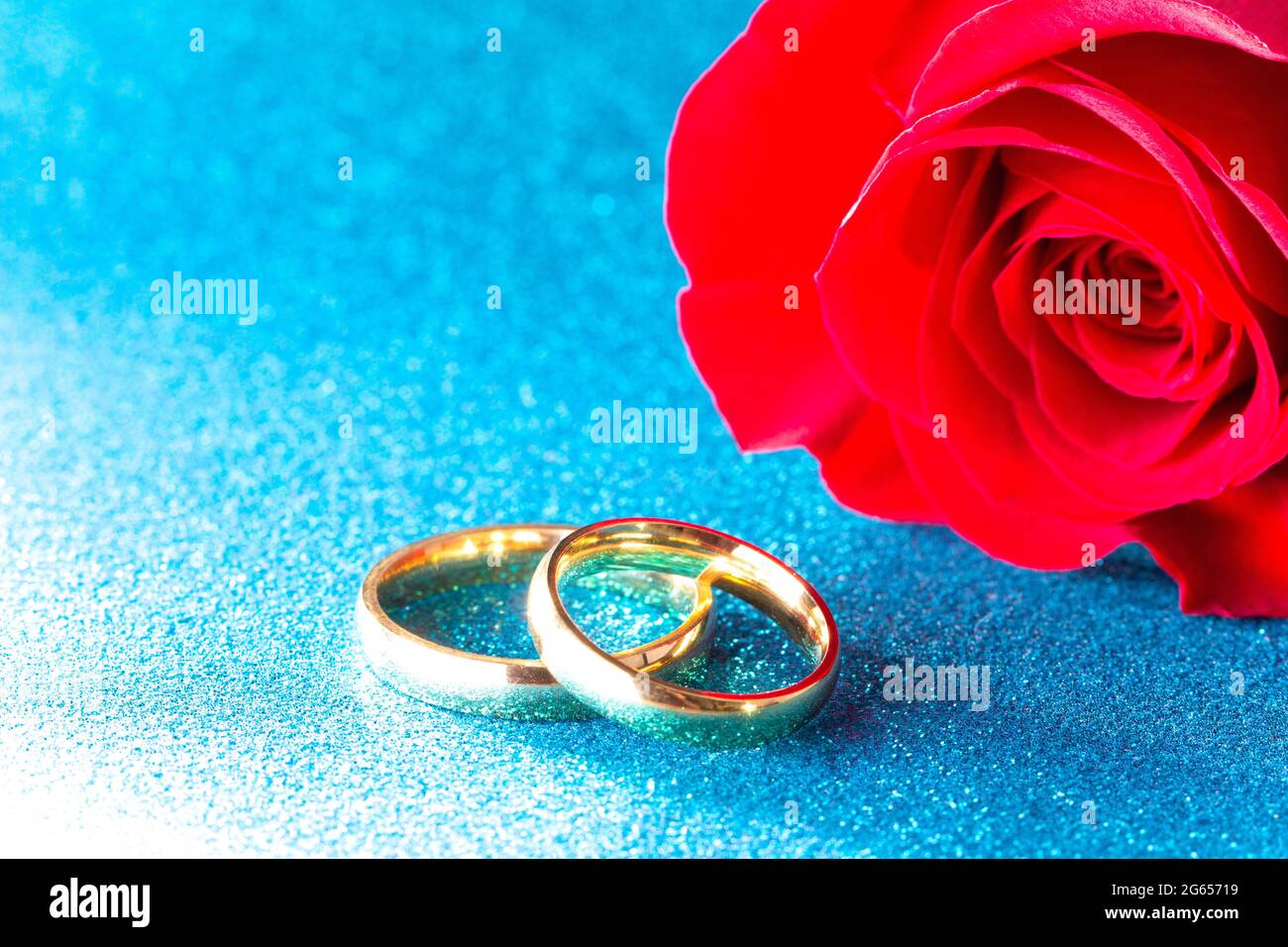 Oro Fedi nuziali e una rosa rossa su uno sfondo blu Foto Stock