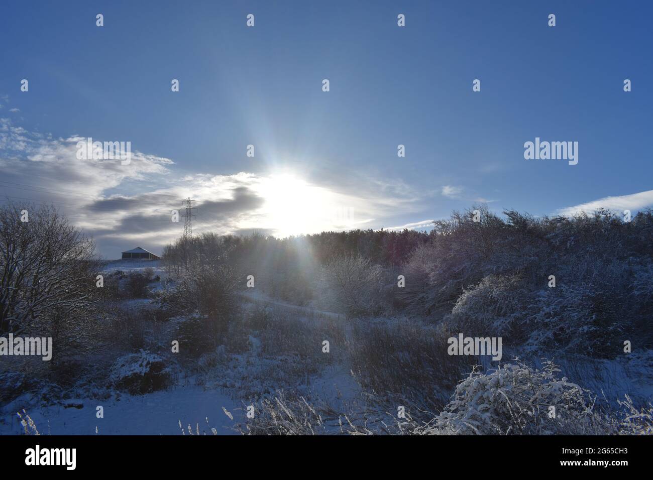 strada parzialmente coperta di neve e ghiaccio con bellissimi alberi e cespugli ricoperti di neve. con il sole basso nel cielo Foto Stock