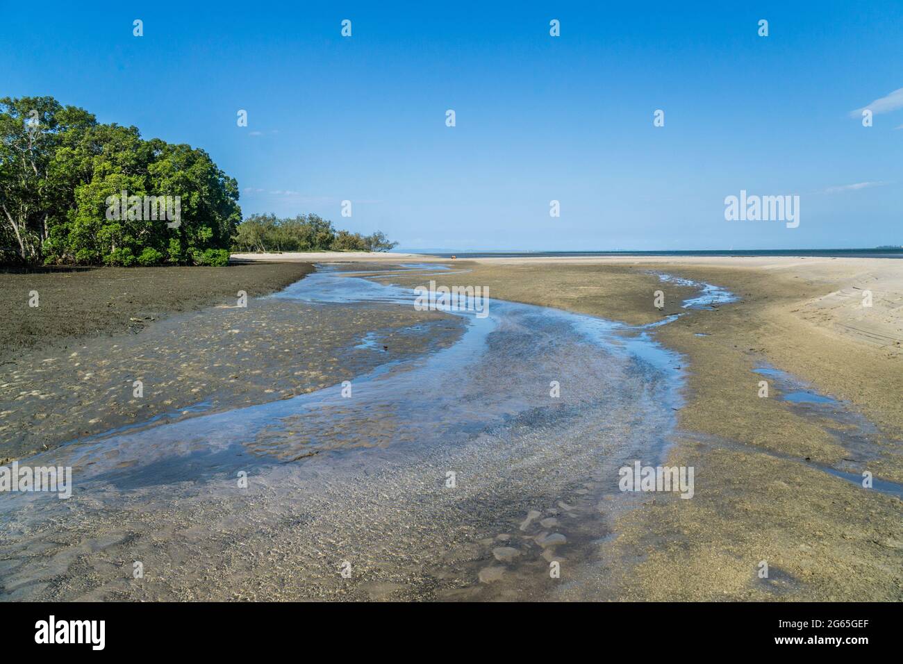 Aree intermarali vicino all'estuario del fiume Caboolture a Beachmere durante la bassa marea, Moreton Bay Region, Queensland, Australia Foto Stock