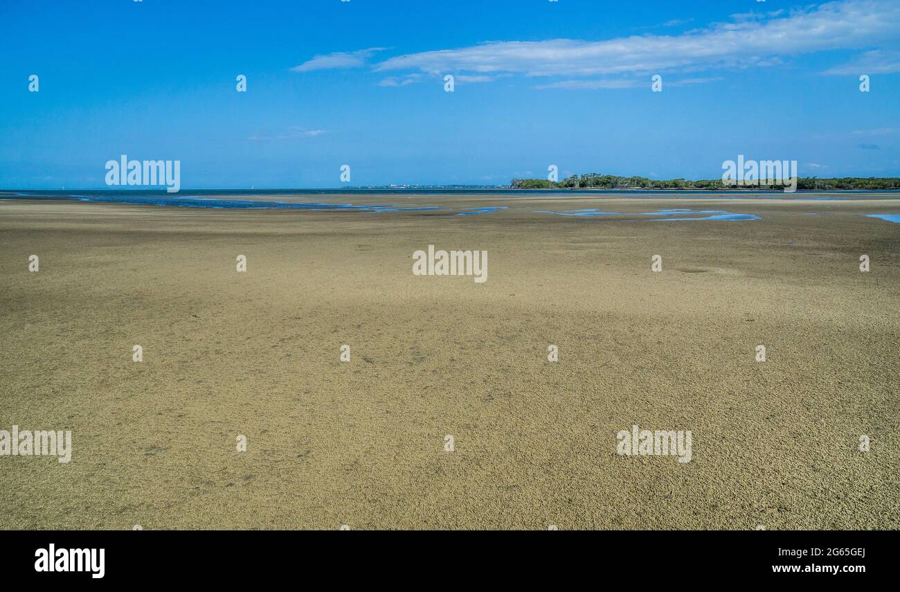 Aree intermarali vicino all'estuario del fiume Caboolture a Beachmere durante la bassa marea, Moreton Bay Region, Queensland, Australia Foto Stock