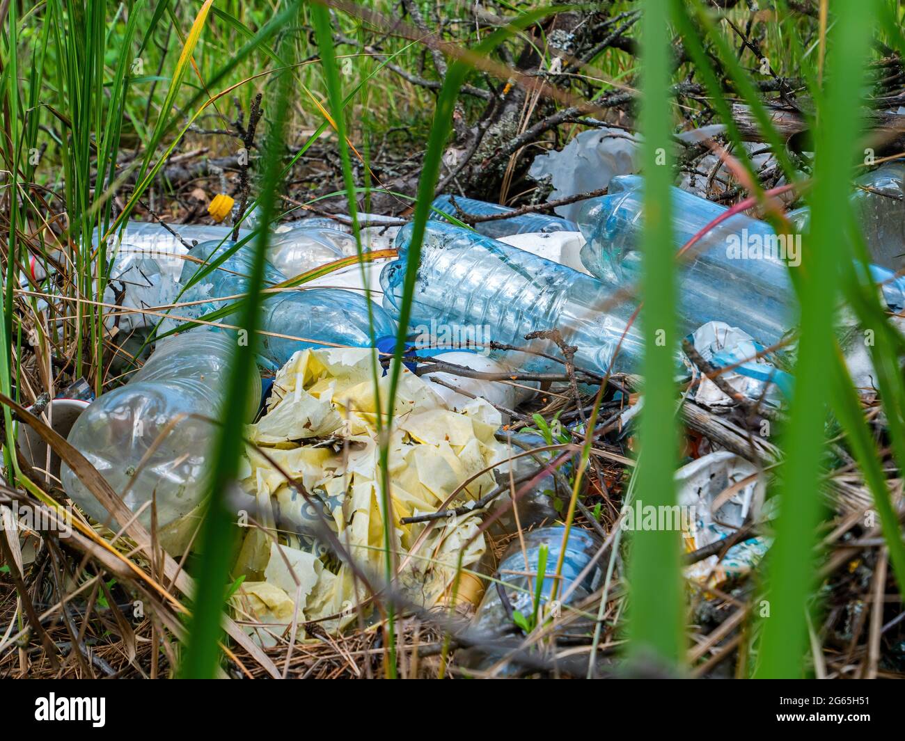 Rifiuti domestici di plastica e polietilene in erba verde. Flacone di plastica. Sacchetto di plastica. Rifiuti. Inquinamento ambientale. Scarico spontaneo dei rifiuti. Ecolog Foto Stock
