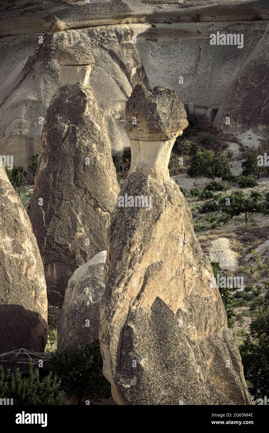 Punto di riferimento della natura in Turchia i camini delle fate sono formazioni rocciose vulcaniche in Cappadocia vicino Zelve Foto Stock