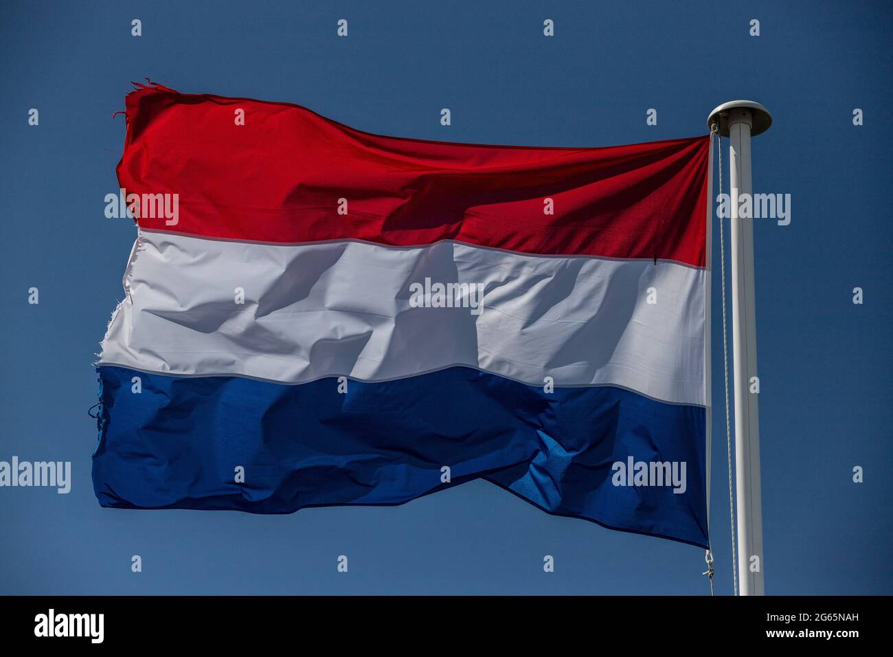 Bandiera dei Paesi Bassi in cielo blu Foto Stock