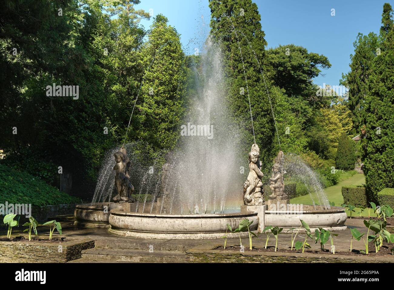 Giardino con fontana nel giorno d'estate Foto Stock