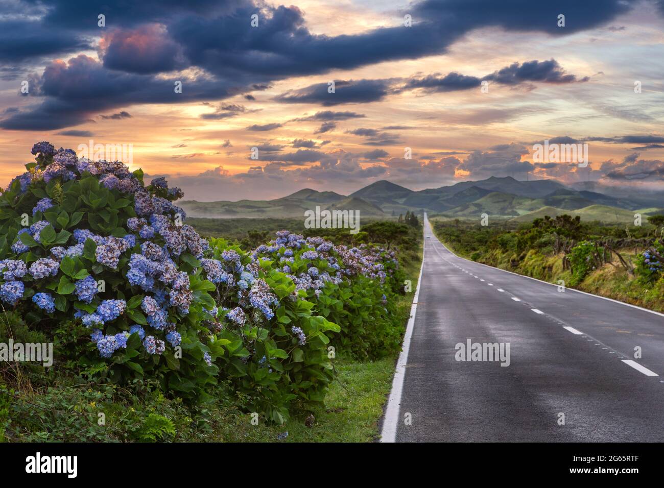 Strada senza fine tra le montagne nuvolose e le colline dell'isola di Pico, Azzorre, Portogallo Foto Stock