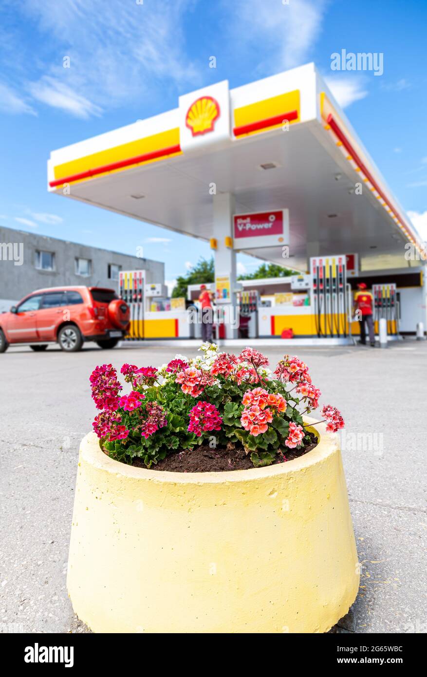 Samara, Russia - 2 luglio 2021: Fiori contro l'immagine blured di Shell V-power fuel station. Fuoco selettivo sui fiori Foto Stock
