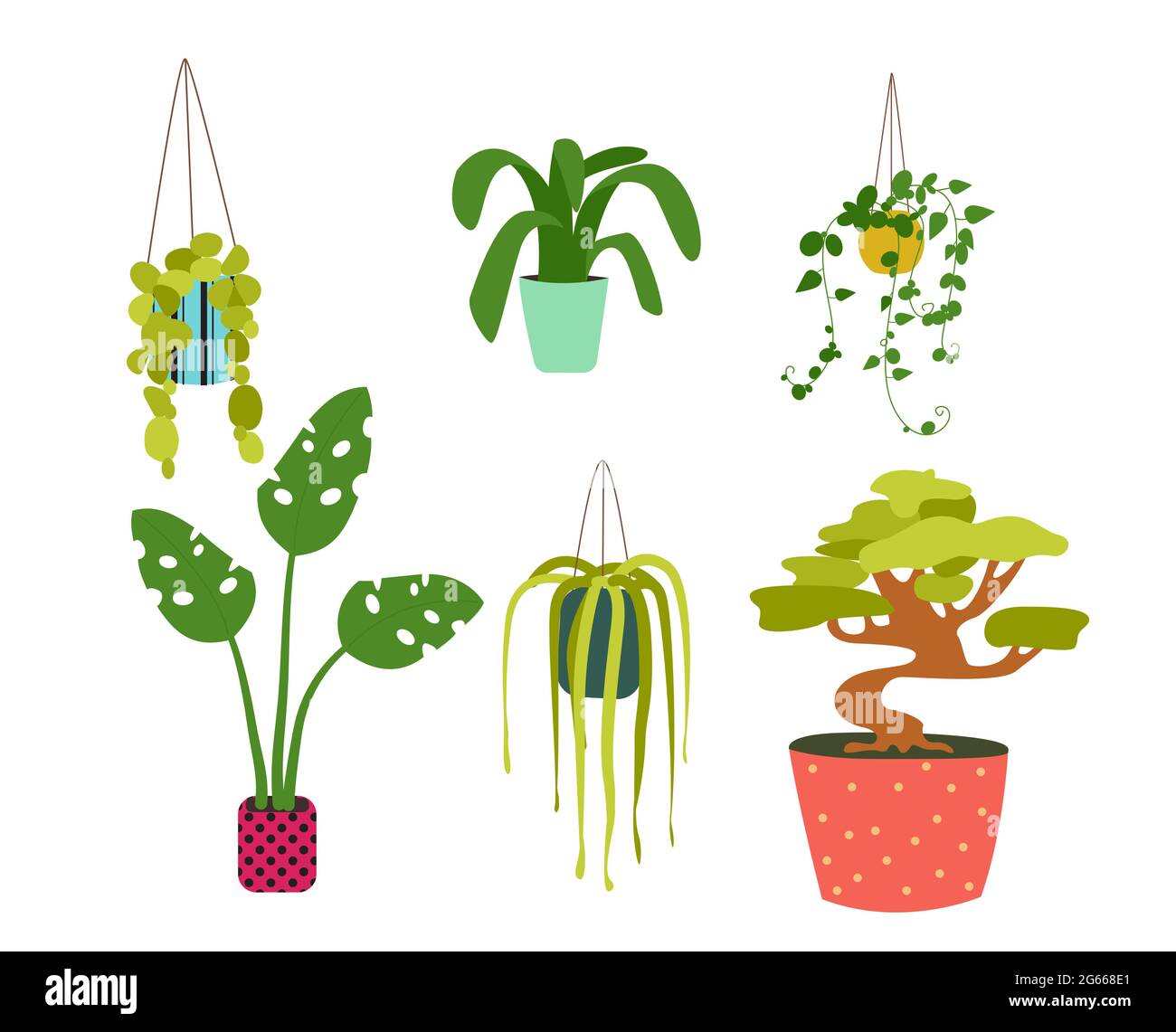 Houseplants in varie pentole disegno piatto insieme di illustrazione vettoriale. Elementi di colore del decor Illustrazione Vettoriale