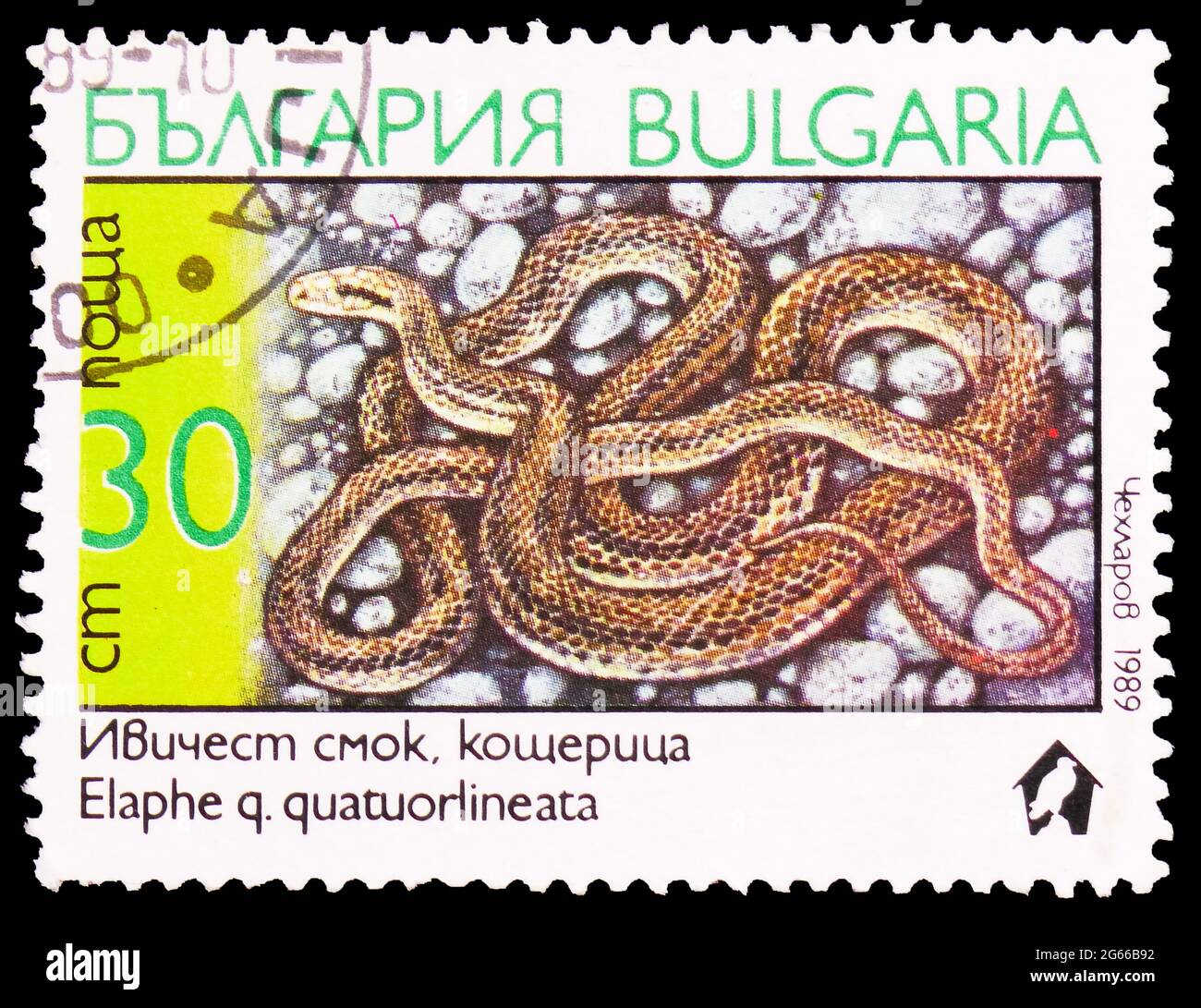 MOSCA, RUSSIA - 22 MARZO 2020: Francobollo stampato in Bulgaria mostra quattro-foderati Snake (Elaphe quatuorlineata), Snakes serie, circa 1989 Foto Stock