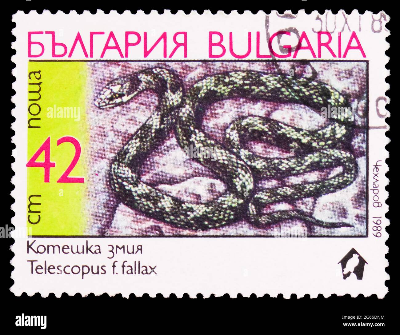 MOSCA, RUSSIA - 22 MARZO 2020: Francobollo stampato in Bulgaria mostra European Cat Snake (Telescopus fallax), Snakes serie, circa 1989 Foto Stock