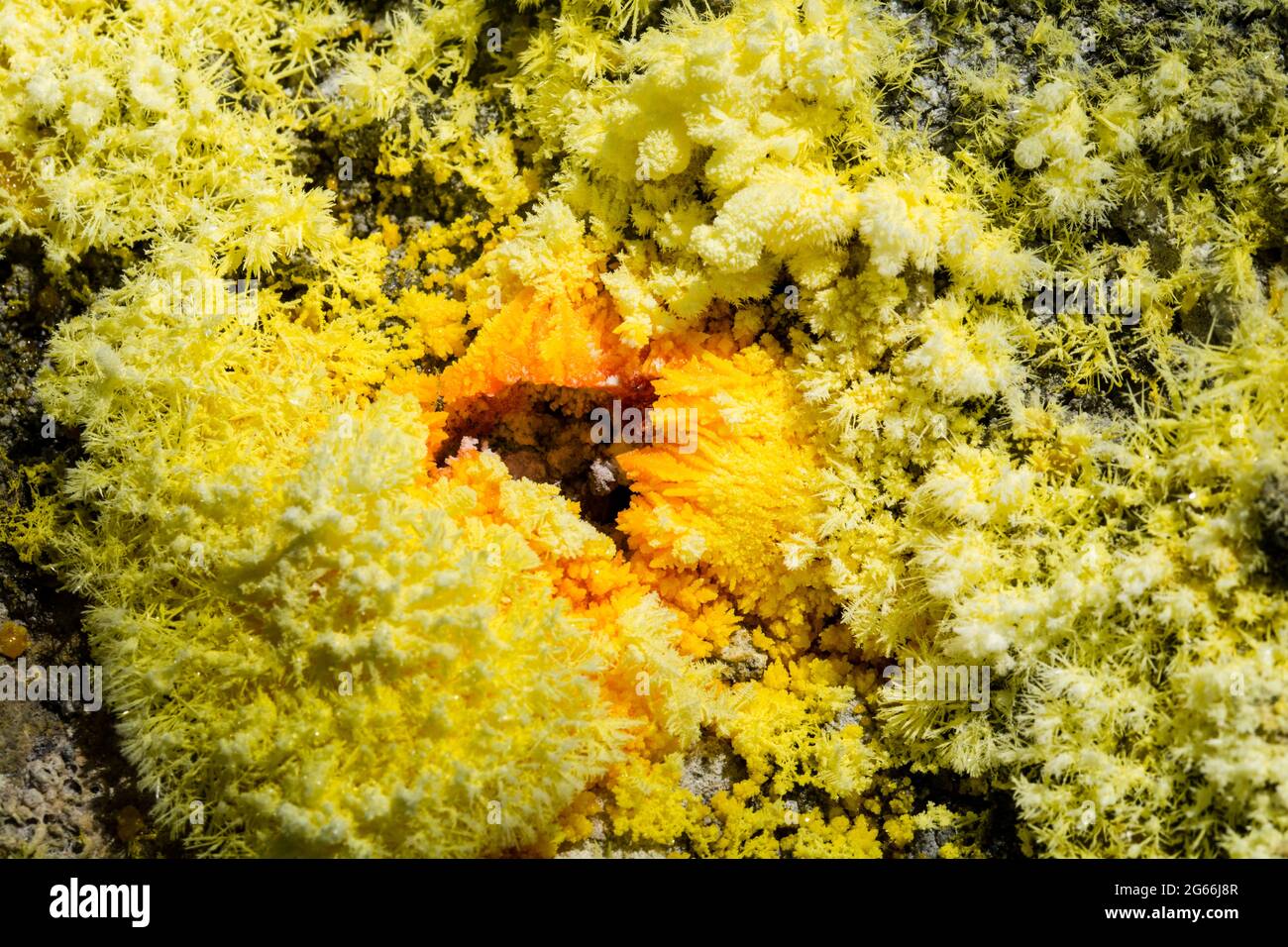 Solfuro giallo cristal emanante da sfiati trovati sul pendio dei vulcani Foto Stock