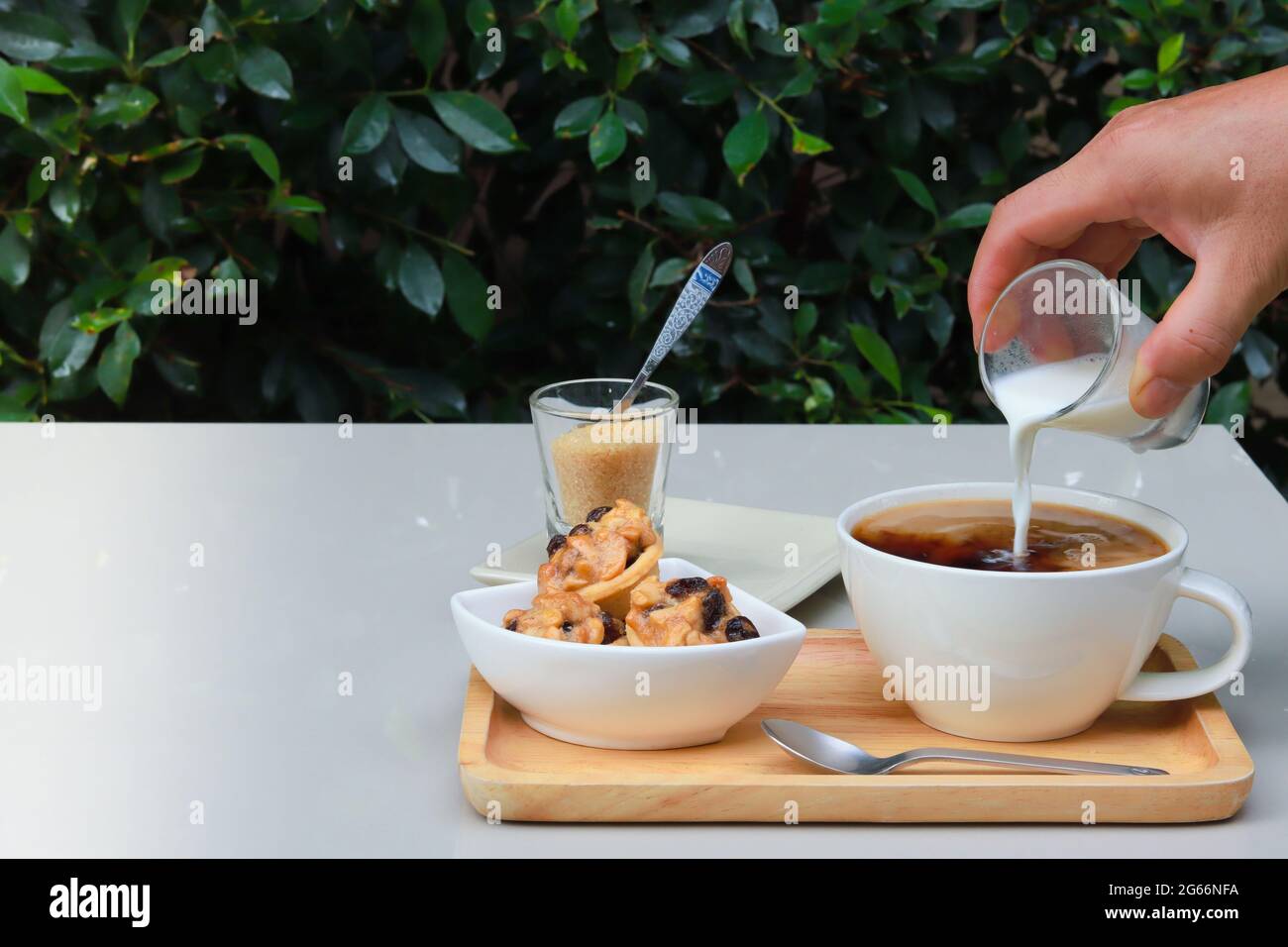 Aggiungere il latte nella tazza di caffè. Caffè servito con biscotti sul vassoio di legno con zucchero e latte a lato. Tavolo in ambiente giardino con foglia verde. Foto Stock
