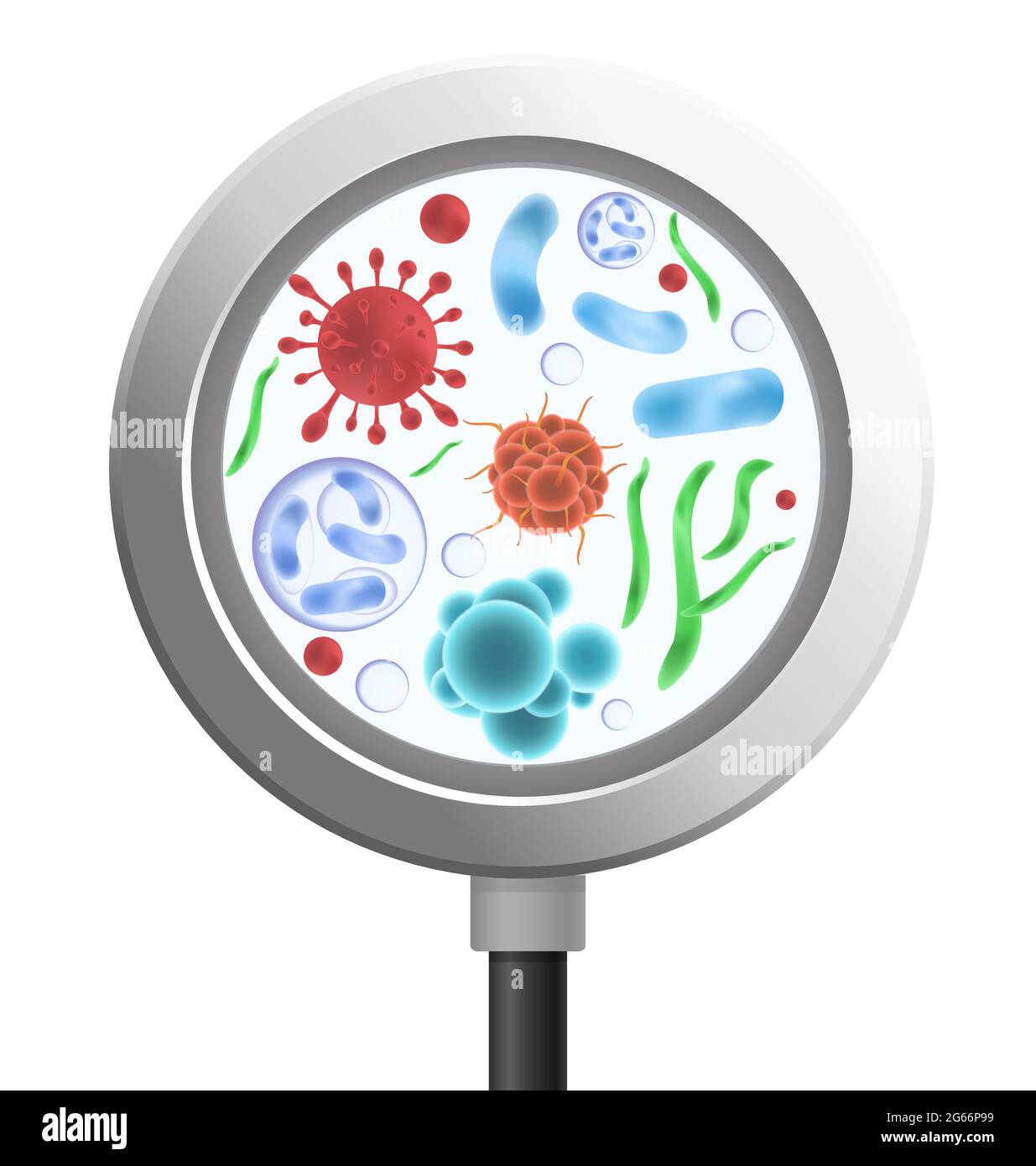 Illustrazione vettoriale di batteri e microrganismo in un cerchio. Virus e batterie sotto il vetro ringiovanente, lente di ingrandimento, cartone animato concetto di medicina. Illustrazione Vettoriale