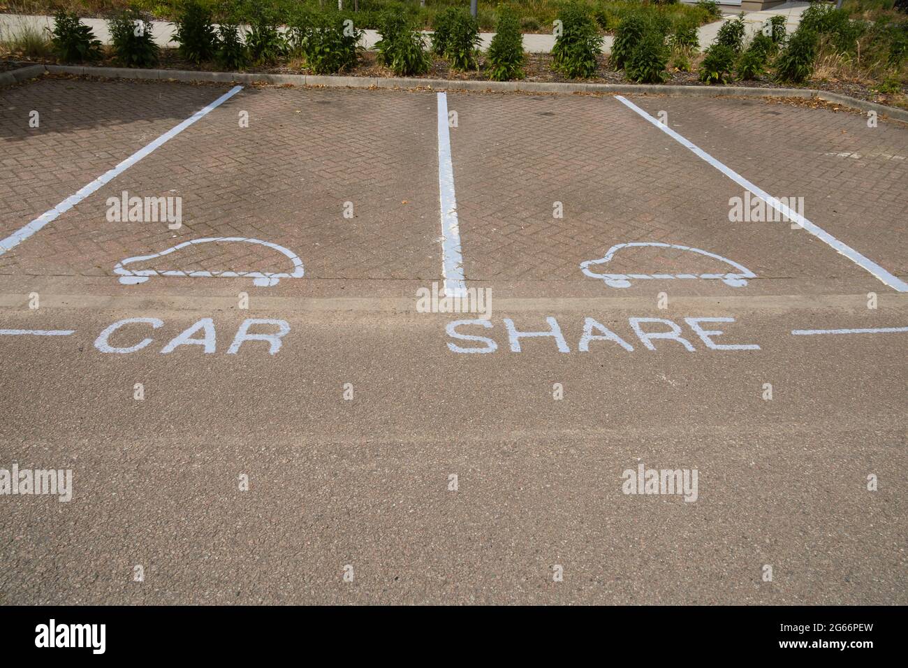 Posti auto condivisi sul parcheggio dell'Università di Lincoln. Lincoln, Lincolnshire, Inghilterra Foto Stock