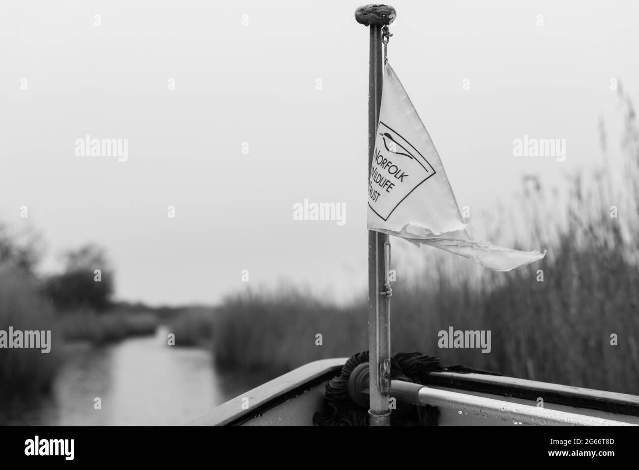 Norfolk Wildlife Trust, gita in barca delle paludi. Hickling Broad, maggio 2021 Foto Stock