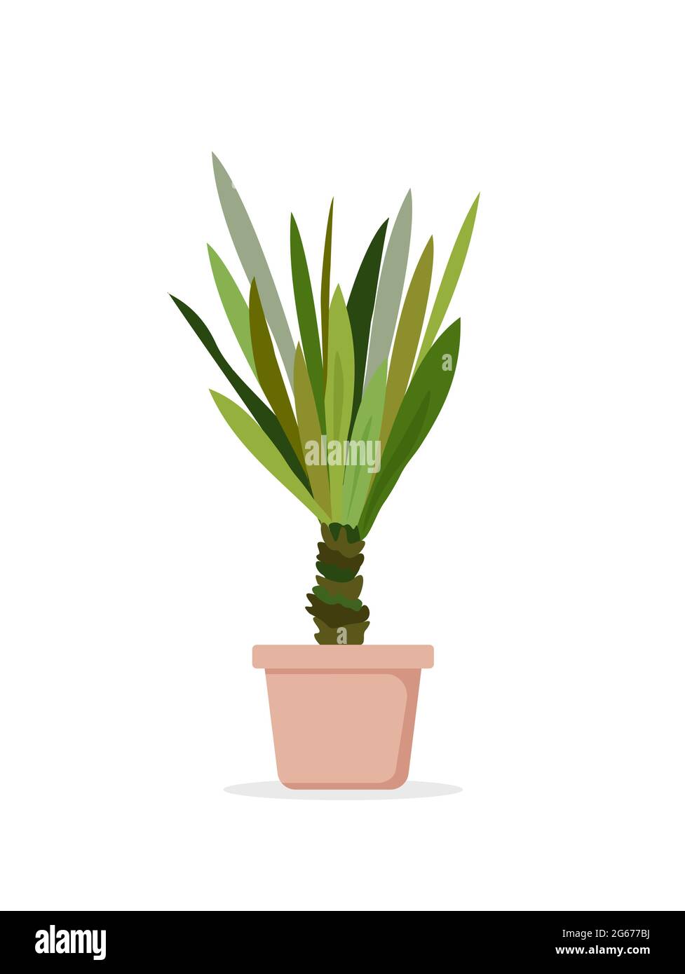 Illustrazione vettoriale della palma nel piatto. Palma casa finestra pianta elefanti Yucca in stile cartoon piano. Illustrazione Vettoriale