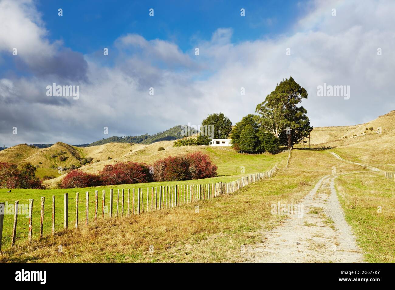 Paesaggio rurale con strada sterrata e cielo nuvoloso in Nuova Zelanda Foto Stock