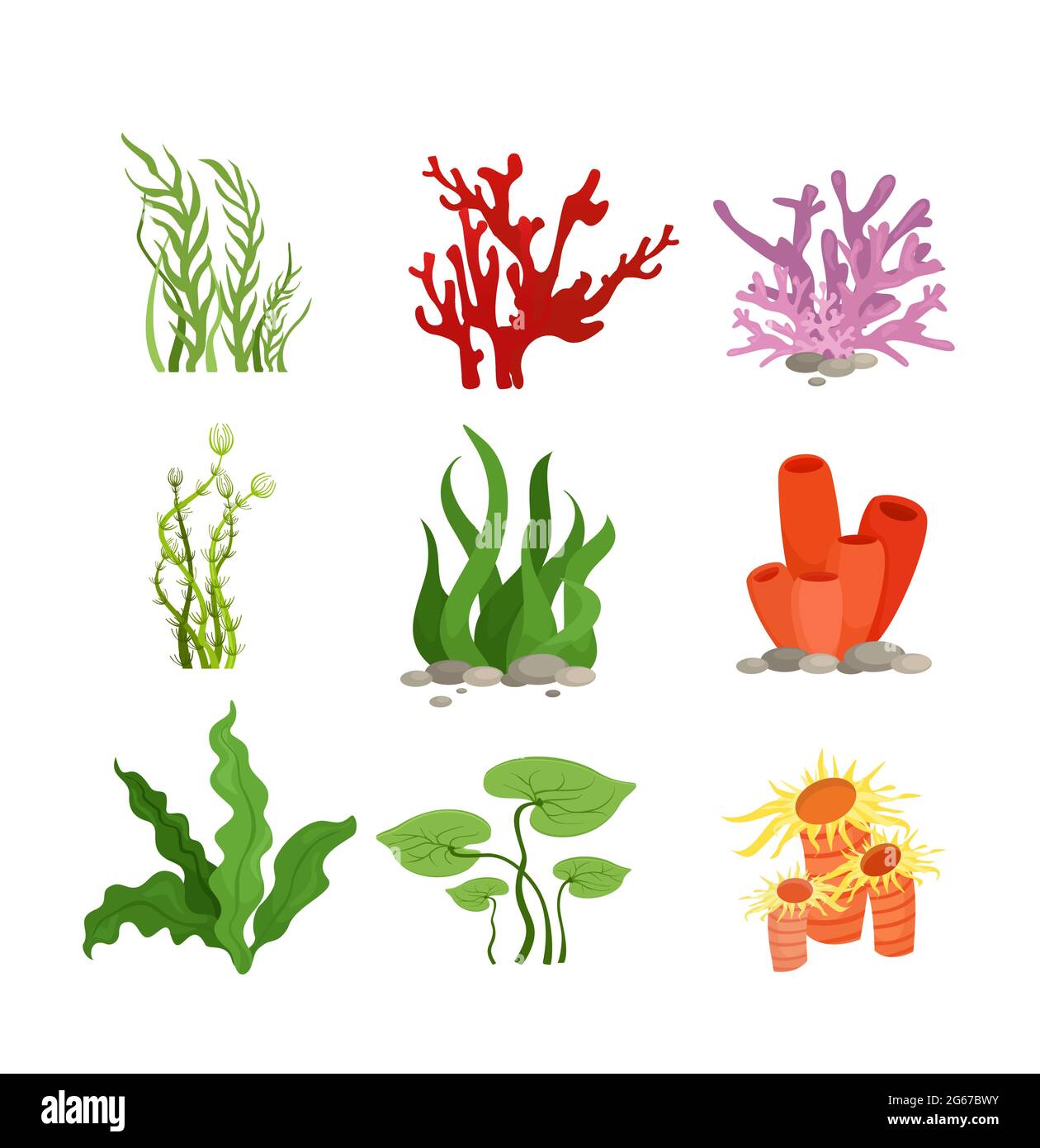 Illustrazione vettoriale insieme di colorate piante d'acqua e corallo isolato su sfondo bianco in stile piatto cartoon. Illustrazione Vettoriale