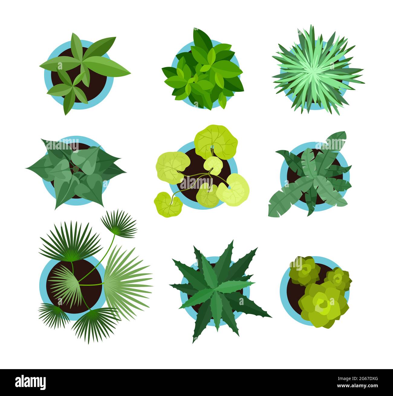 Illustrazione vettoriale di piante di casa in pentole, set di icone vista dall'alto, fiori di animali verdi, palma in stile piatto isolato su sfondo bianco. Illustrazione Vettoriale