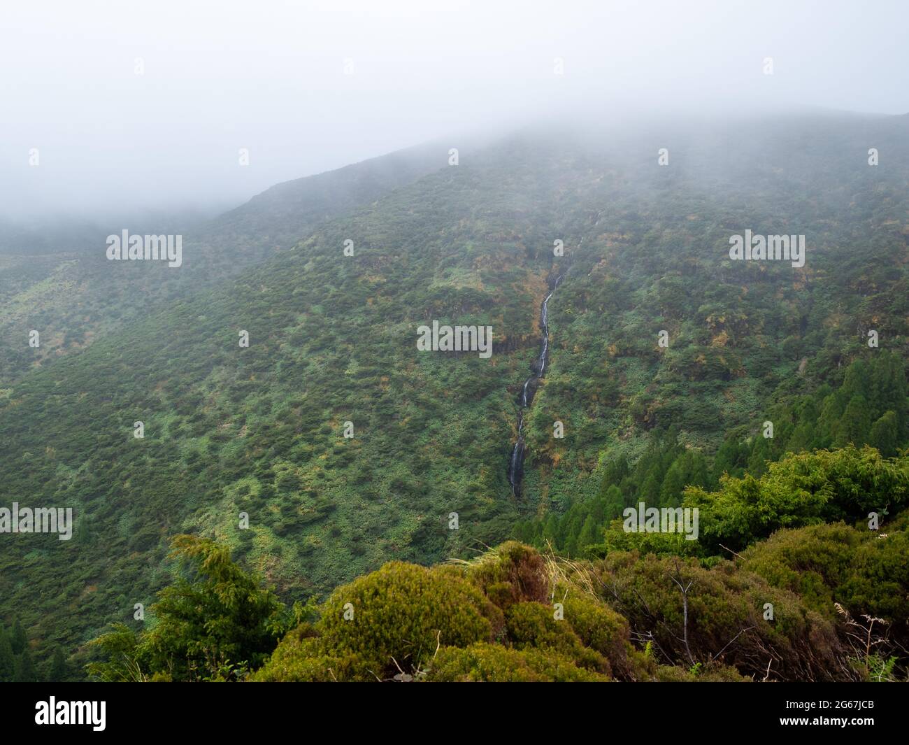 Una piccola cascata tra la vegetazione verde di Flores Island Foto Stock