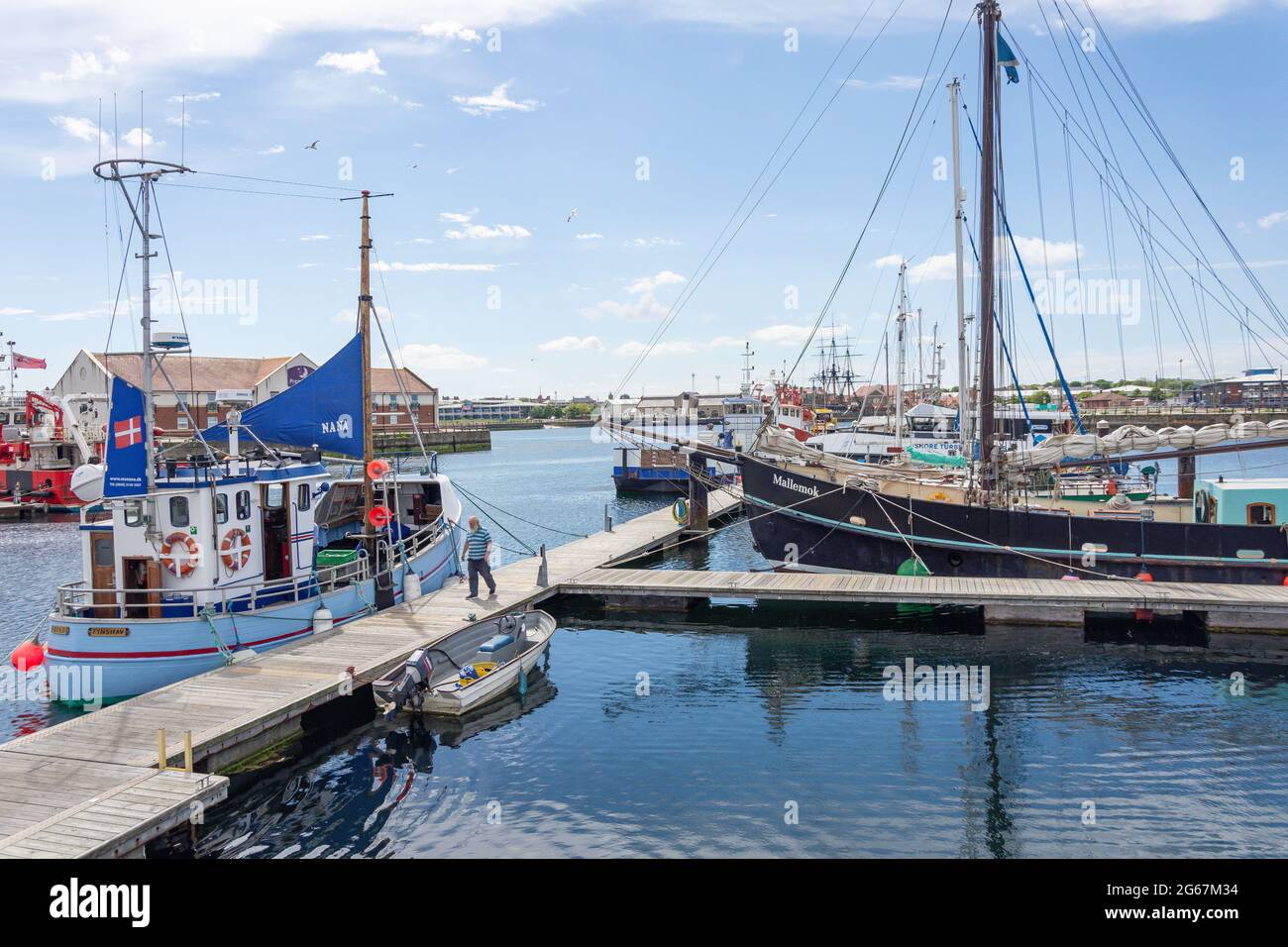 Barche a Hartlepool Marina, Hartlepool, Contea di Durham, Inghilterra, Regno Unito Foto Stock