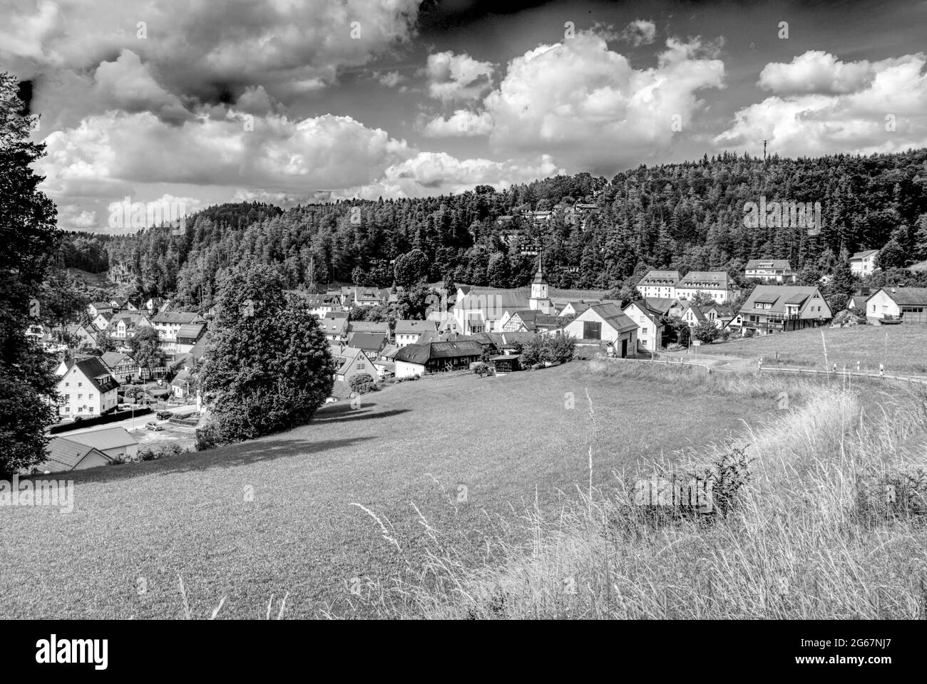 vista panoramica di un villaggio nei boschi in bianco e nero Foto Stock