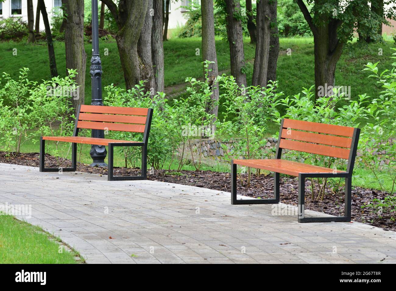 Panca parco tra alberi e lanterne. Estate. Foto Stock