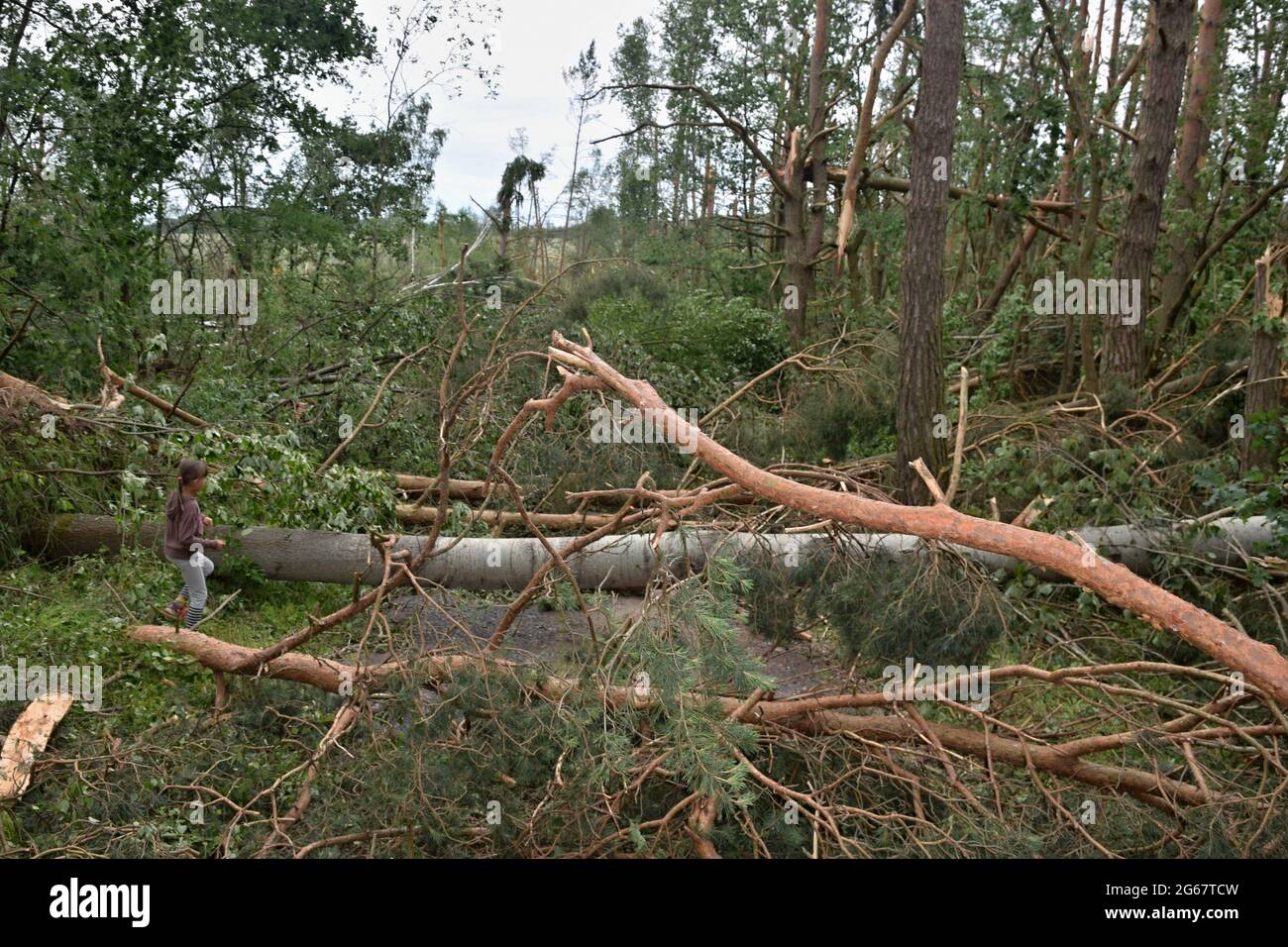 Danni causati da un tornado nel giugno 2021, Stebno, Distretto di Louny, Repubblica Ceca. Foto Stock