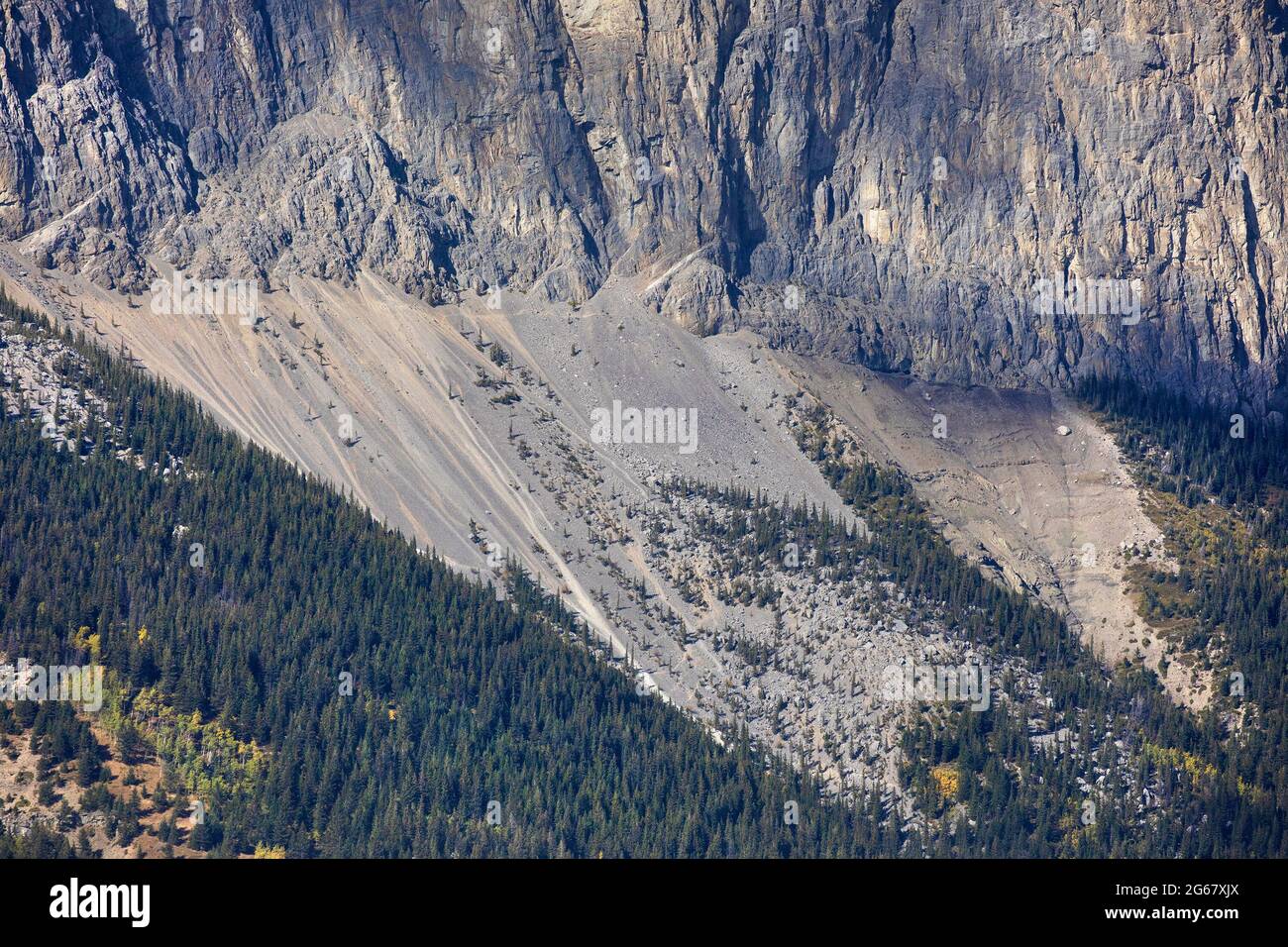 McConnell ha spinto la colpa sul monte Yamnuska. Cambrian Eldon formazione calcare sopra difetto, Cretaceous Brazeau formazione arenaria e scali sotto Foto Stock