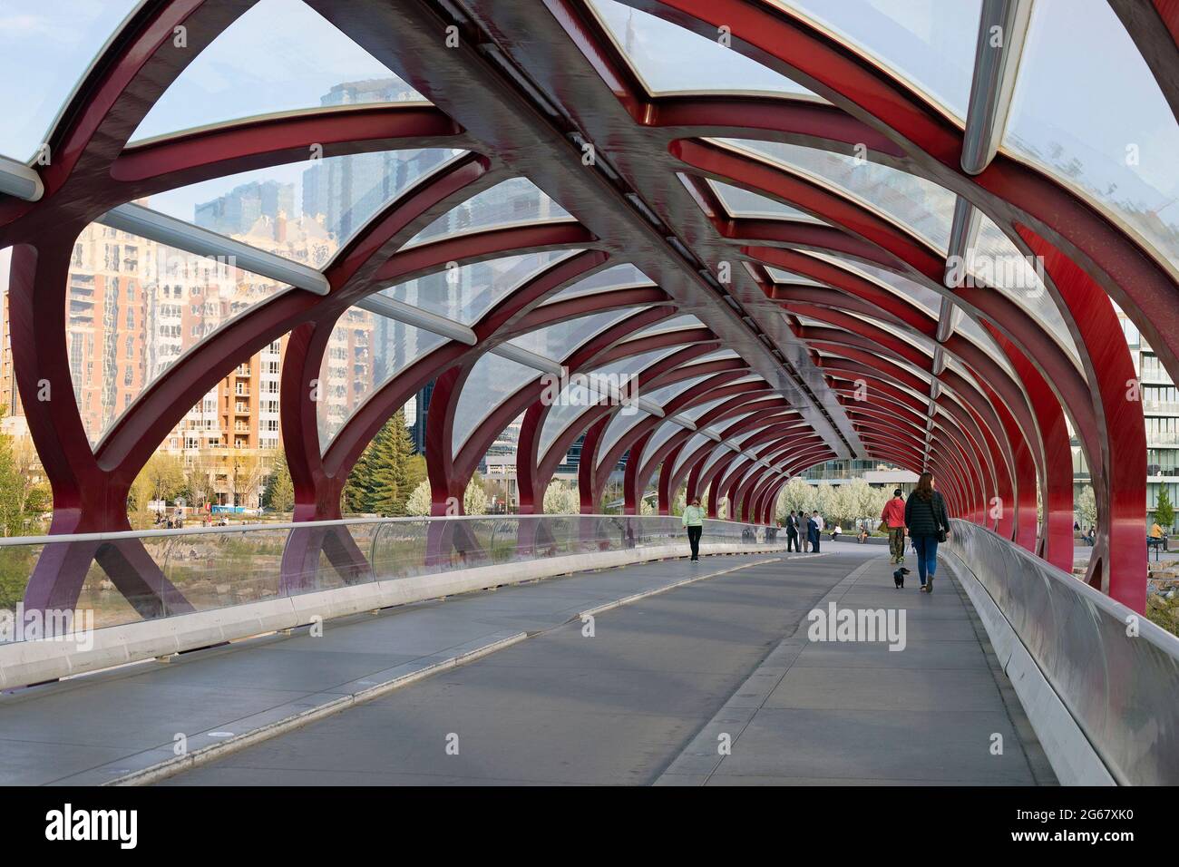 Persone che camminano attraverso il Peace Bridge attraversando il fiume Bow fino al centro di Calgary. Foto Stock