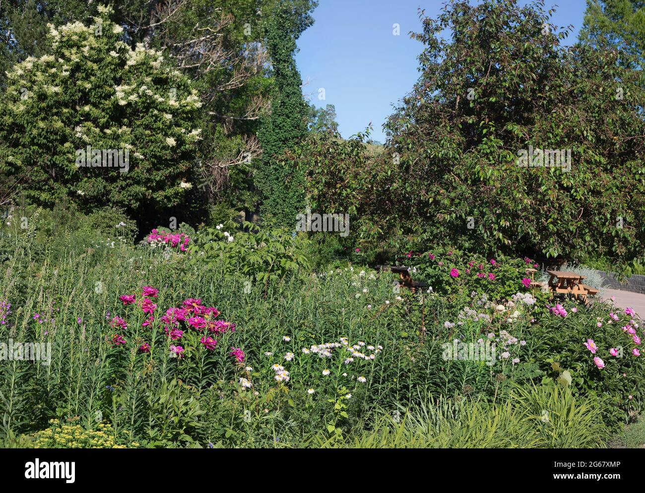 Il Giardino profumato di CNIB, progettato per chi ha problemi di vista, includendo piante con fragranze e texture distinte per odorare e toccare Foto Stock