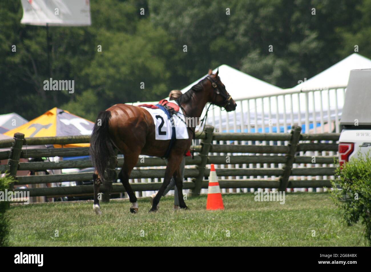 Iroquois Steeplechase a Nashville, Tennessee, Stati Uniti. L'evento si è tenuto al Percy Warner Park. Foto Stock