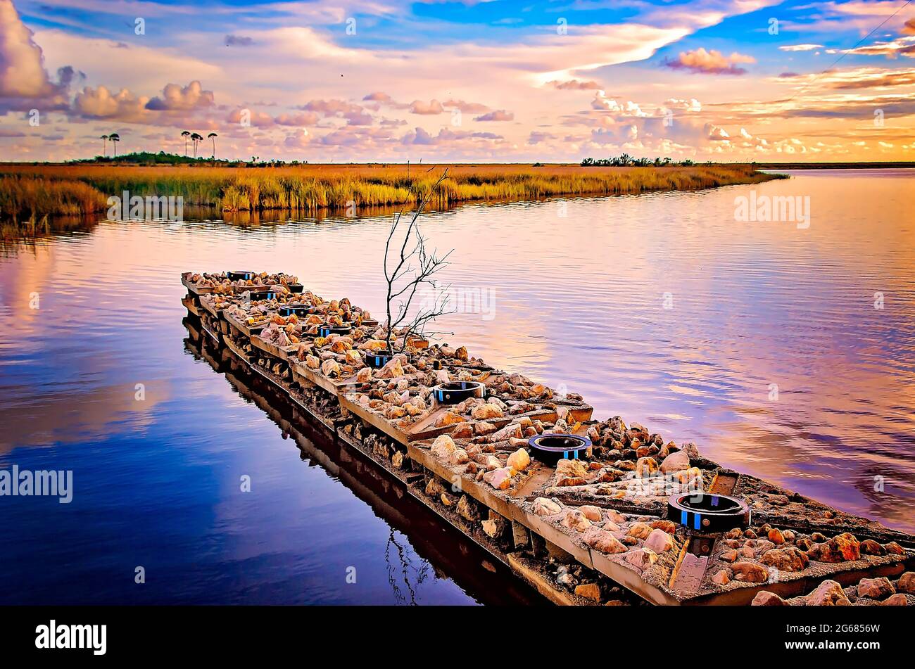 Una eco-barriera corallina progettata da Walter Marine è raffigurata al tramonto a Delta Port Marina, 1 luglio 2021, a Coden, Alabama. Foto Stock