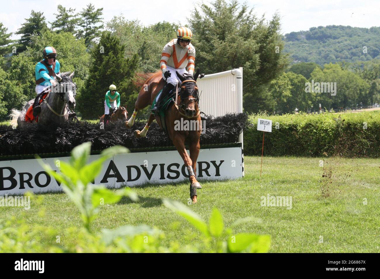 Iroquois Steeplechase a Nashville, Tennessee, Stati Uniti. L'evento si è tenuto al Percy Warner Park. Foto Stock