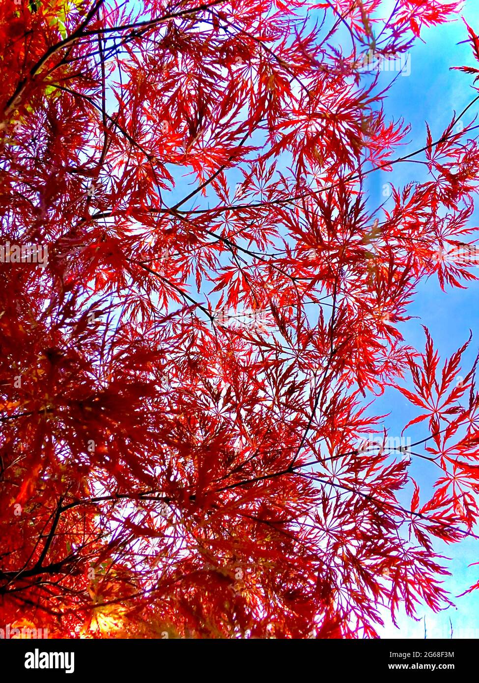 Foto dalla zona industriale in Germania Duisburg Foto Stock